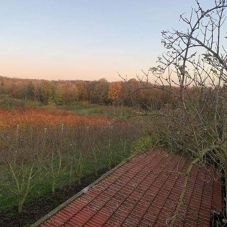 Mon Repos Villa Saint-Brice-sous-Foret Luaran gambar